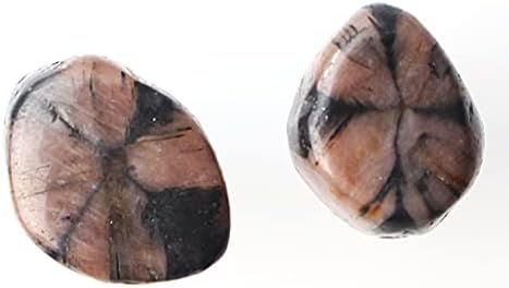 Laaalid xn216 1pc טבעי צ'יאסטוליט אבן צולבת אבן צולבת אבן גביש גביש תליון יד אבן דקל מתנה מתנה טבעית