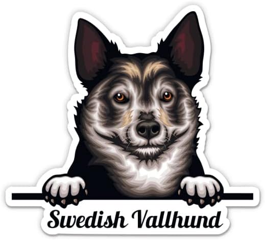 מדבקת וואלהונד שוודית - מדבקת מחשב נייד 5 - ויניל אטום למים לרכב, טלפון, בקבוק מים - מדבקות כלבים שוודיות וואלהונד